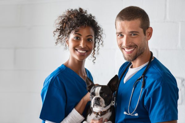 Veterinary Clinic Insurance